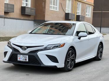 авиди 80: Toyota Camry: 2020 г., 2.5 л, Автомат, Бензин, Седан