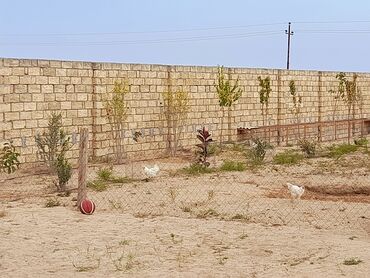 Bağ evlərinin satışı: Bakı, Kürdəxanı qəs., 38 kv. m, 1 otaqlı, Hovuzlu, Su, Kanalizasiya, Kombi -da lalafo.az — 25 Bağ evlərinin satışı: Bakı, Kürdəxanı qəs., 38 kv. m, 1 otaqlı, Hovuzlu, Su, Kanalizasiya, Kombi — 25