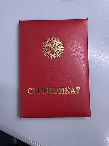 курсы ексель: Курсы компьютерной грамотности Курс «Microsoft Excel: горячие клавиши — 2