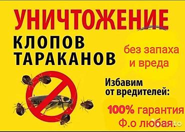 от паразитов: Дезинфекция, дезинсекция, | Блохи, Мыши и крысы, Тараканы, | Кафе, магазины, Дома, Квартиры — 2