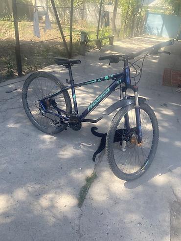 low2 fixie: Горный велосипед Phoenix - Рама: хардтейл, алюминиевая/стальная (по — 4