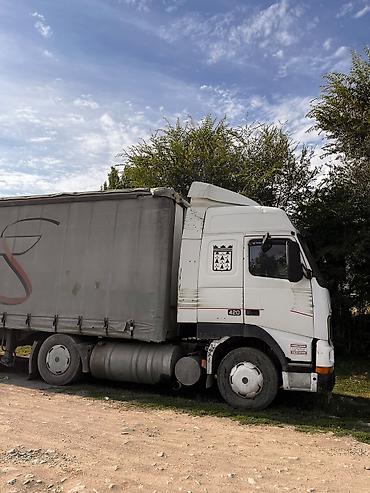мтз 75: Тягач, Volvo, 1995 г., Шторный — 5