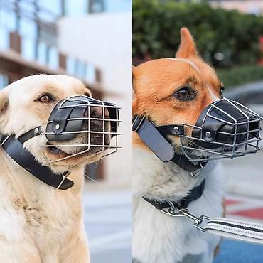 Продажа собак: ПРОДАЮ ОШЕЙНИКИ,ШЛЕЙКИ ДЛЯ МЕЛКИХ,СРЕДНИХ И КРУПНЫХ СОБАК.А ТАК ЖЕ — 6