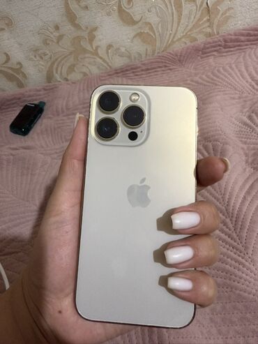 Apple iPhone: IPhone 13 Pro, 64 ГБ, Серебристый, Коробка