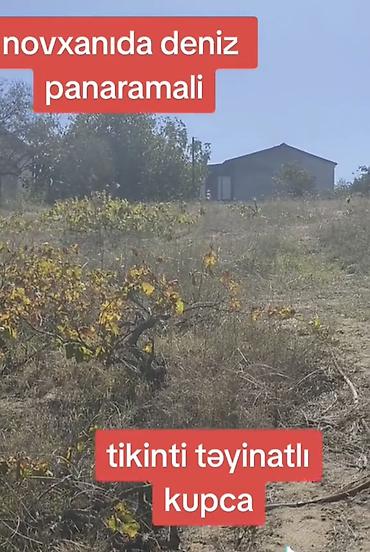 Torpaq: 12 sot, Mülkiyyətçi, Kupça (Çıxarış) — 5