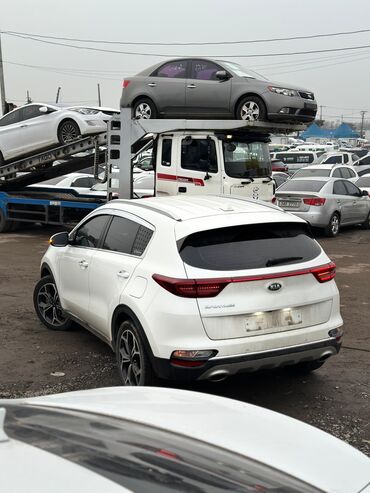 kia spor: Kia Sportage: 2019 г., 2 л, Автомат, Дизель, Кроссовер