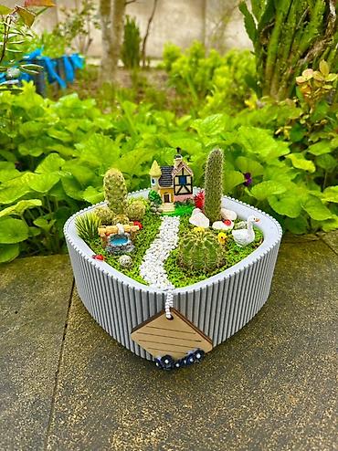 en gozel dibcek gulleri: Mini bağ kompozisiyası – sukulent/kaktus terrariumu - Üçbucağa yaxın — 4