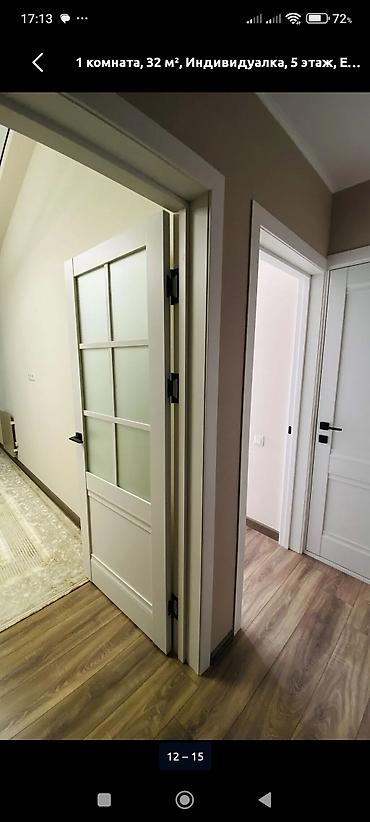 studio apartment: 1 комната, 32 м², Индивидуалка, 5 этаж, Евроремонт — 1