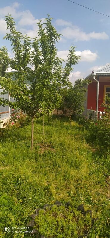 Günlük kirayə evlər: 90 kv. m, 4 otaqlı — 6