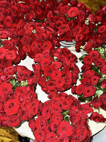 гортензия цена 1 шт: ЦВЕТЫ РОЗЫ🌹
1 шт- 50 сом 
51 шт-2500 сом 
101-5000 сом
