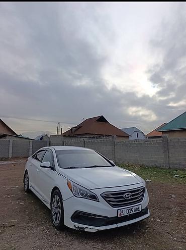 Hyundai: Hyundai Sonata: 2016 г., 2.4 л, Автомат, Бензин, Седан — 2
