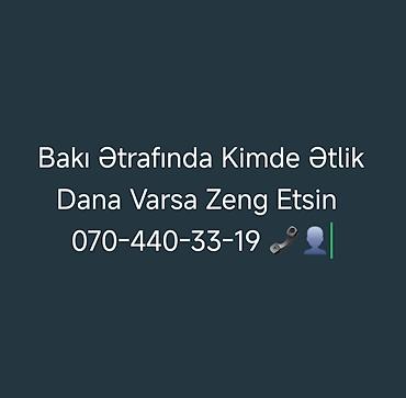cins buzovların satışı: Əlaqe Nömrəsi Qeyd olunub 📞👤 — 1