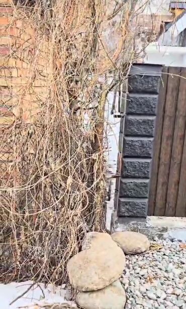 продаются дом сокулук: Дача, 19 м², 2 комнаты, Агентство недвижимости, Косметический ремонт
