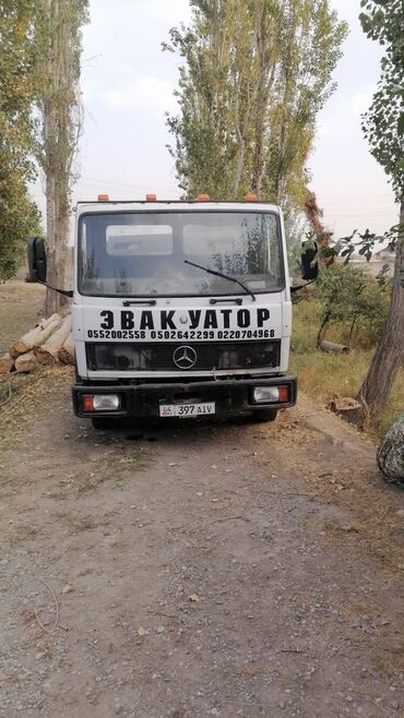 Легкий грузовой транспорт: Легкий грузовик, Mercedes-Benz, Стандарт, Б/у