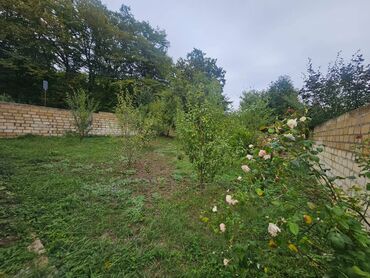 Bağ evlərinin satışı: Qusar, 110 kv. m, 3 otaqlı, Artezian quyusu, Su, Qaz — 4