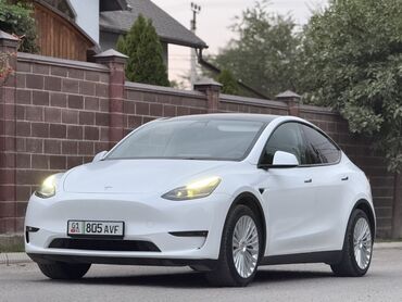 антена на авто: Tesla Model Y: 2021 г., Электромобиль, Кроссовер
