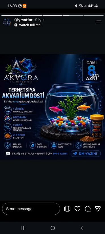 skat balığı: Yumru akvarium, Balıqlarla birlikdə, 1 l — 1