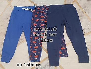 Топы и рубашки: Рубашка — 24