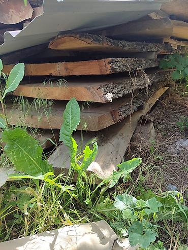 старый сундук: Продаю дуб Разной длины, Ширина 6см Находится в г. Токмок, Цена — 1