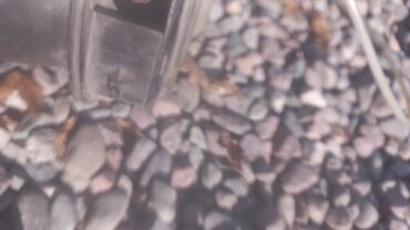 Амортизаторы, пневмобаллоны: Задний пневмобаллон Mercedes-Benz 2004 г., Б/у, Оригинал, Германия — 9