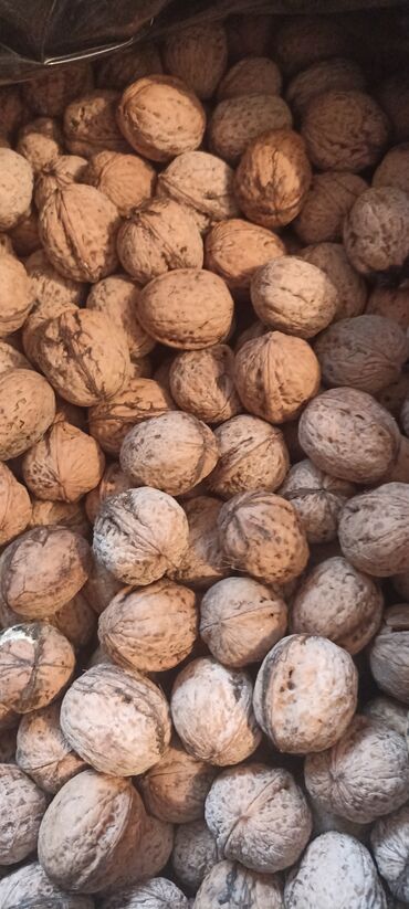 Сухофрукты, орехи, снеки: Продаю грецкий орехи оптом . около 100-150 кг . тонкокорые