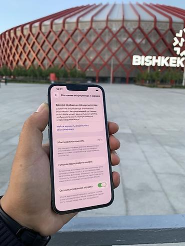 Мобильные телефоны и аксессуары: IPhone 13 Pro, Б/у, 256 ГБ, Графит, Чехол, Защитное стекло, 79 % — 3