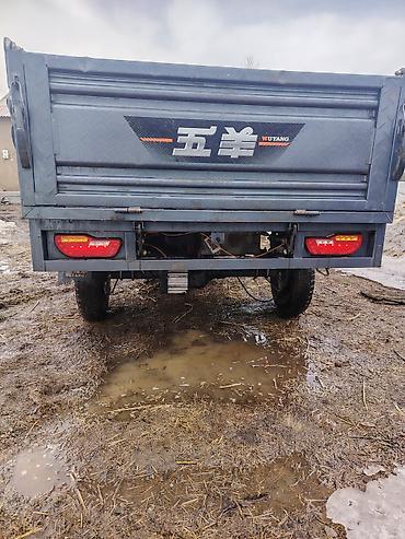 Легкий грузовой транспорт: Легкий грузовик — 17