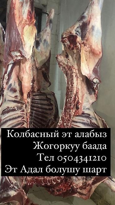 куплю куры несушки: Туша — 1
