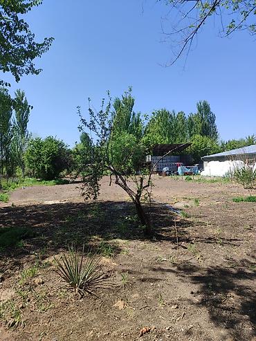 алтын казык ж м: Продаю дом на участке 18 соток,возле таможни Кордай,село — 6