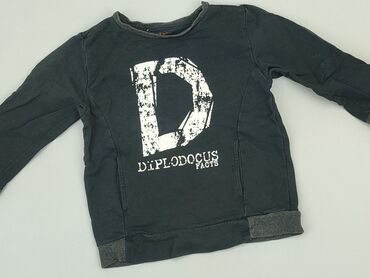 Sweatshirts: Sweatshirt, 3-4 years, 92-98 cm, condition - Good