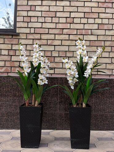 Декоративные цветы: Искусственные деревья — это идеальное решение для оформления интерьера at lalafo.kg — 10 Декоративные цветы: Искусственные деревья — это идеальное решение для оформления интерьера — 10