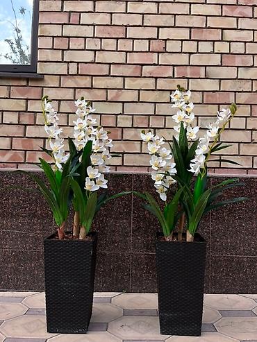 Декоративные цветы: 🌿 Mayram Decor KG — искусственные деревья, цветы и зелёные композиции — 8