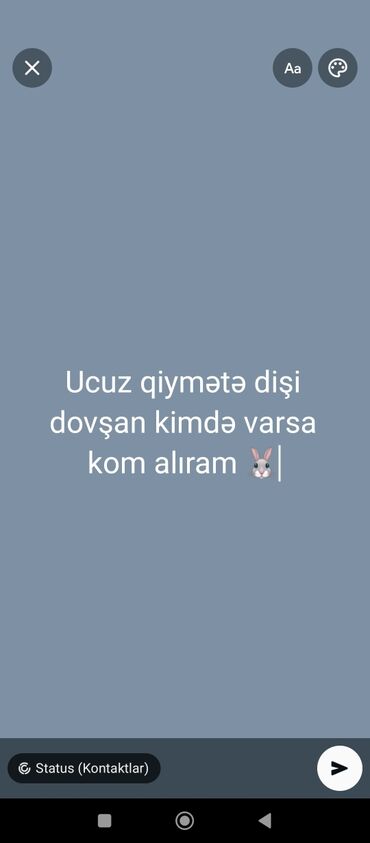 Dovşanlar: Axtarış: Ucuz qiymətə dişi dovşan Təsvir: - Dişi dovşan alınır - Ucuz