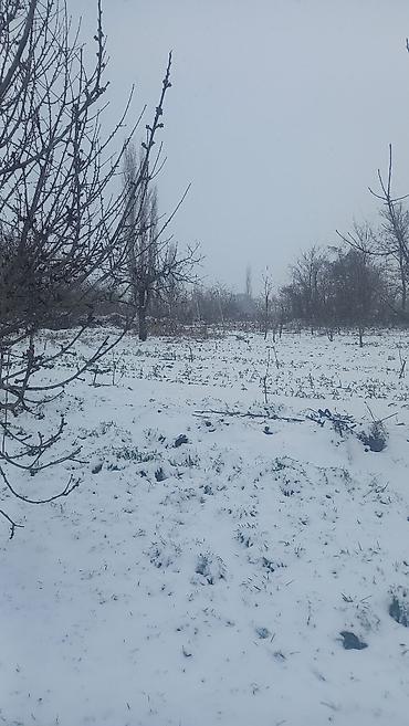 digah ev: 6 otaqlı, 150 kv. m, Kredit yoxdur, Orta təmir — 10