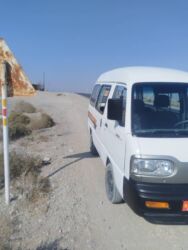 купить фуксии: Срочно