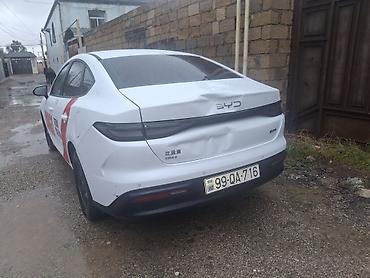 kreditle byd: BYD Qin Plus (sedan) – Yango brendli taksi üçün bükülü vinil reklam — 5
