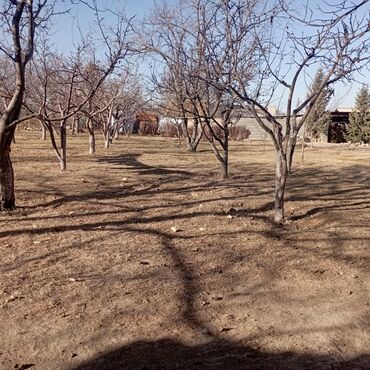 Продажа участков: 25 соток — 12