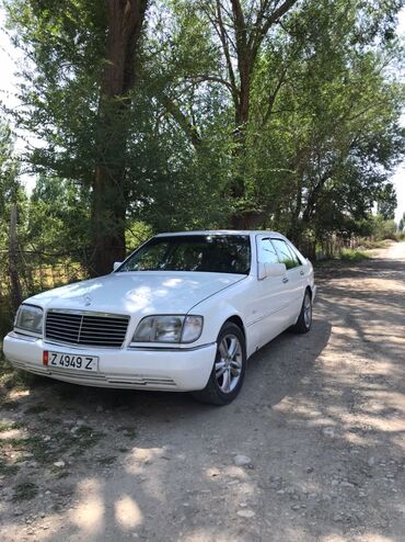 кабан 140 дизель: Mercedes-Benz 600: 1992 г., 3.2 л, Механика, Бензин, Седан