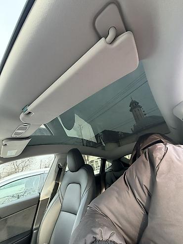 Tesla: Tesla Model Y: 2023 г., 2 л, Автомат, Электромобиль, Кроссовер — 9