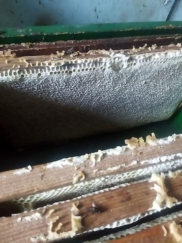 пчелиный мед: Продам мёд настоящий горный бал . мёд в сотах забрус воск .от пчел — 6