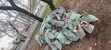 Другие услуги грузоперевозок: Вывоз мусора вывоз мусора вывоз мусора вывоз мусора вывоз мусора вывоз at lalafo.kg — 8 Другие услуги грузоперевозок: Вывоз мусора вывоз мусора вывоз мусора вывоз мусора вывоз мусора вывоз — 8