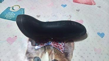 Električni brijači: Slanje Brzom postom ide na odgovornost Primaoca. ( Posto brze poste — 11