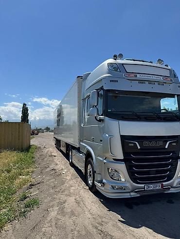 uni 260b: Тягач, DAF, 2020 г., Холодильник, рефрижератор — 3