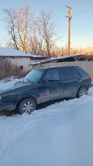 Volkswagen: Volkswagen Golf: 1989 г., 1.6 л, Механика, Бензин, Хэтчбэк