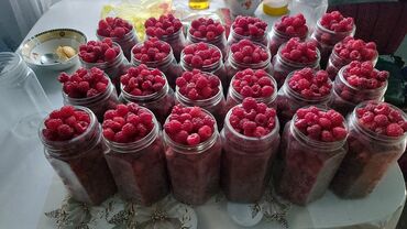 сок томатный купить: Малина В розницу