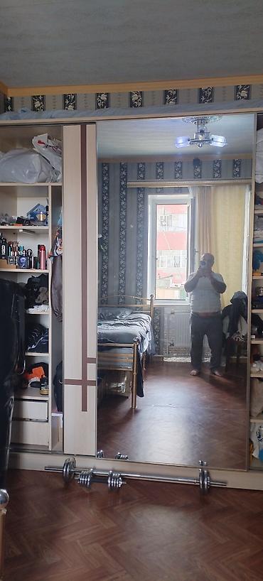 avcarka balasi satilir: Alabay, 10 il, Erkək, Sənədli — 5