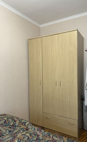 шкаф 4000: Гардеробный Шкаф, Для одежды, Б/у