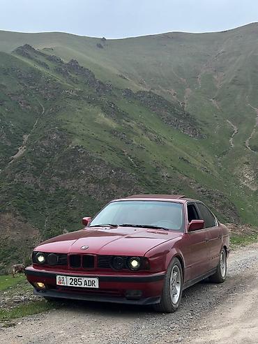 bye e5: BMW 5 series: 1991 г., 2.8 л, Механика, Бензин, Седан — 1