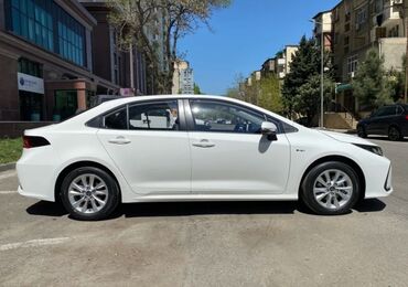 Toyota: Tecrubeli suruculer teleb olunur gunlük plan 100 azn sürücünün ödenişi