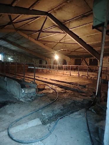 bayilda kiraye evler 2018: Ferma/təsərrüfat kompleksi - Heyvandarlıq üçün tikili və açıq — 9
